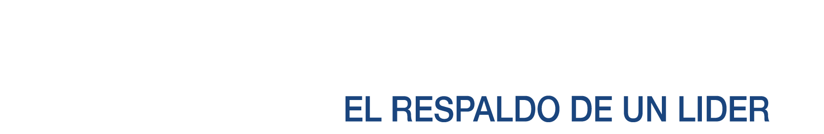 Logo Guillermo Morales Usados